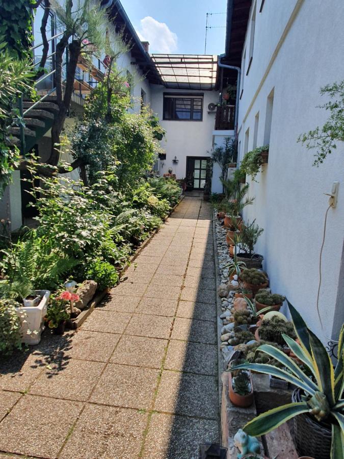 Appartement Roiss Podersdorf am See Eksteriør billede